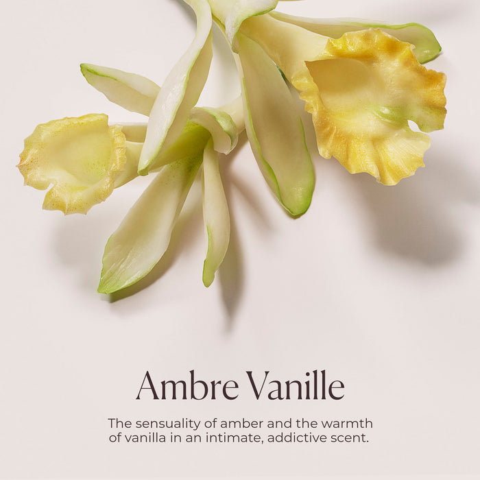 Delicious & Decadent Ambre Vanille Collection