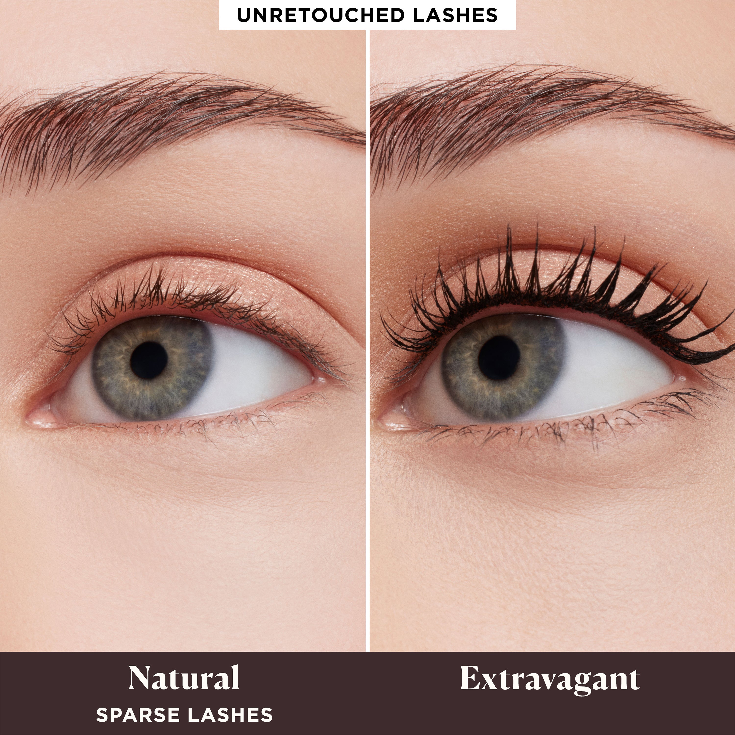 Caviar Cravings Eye Essentials