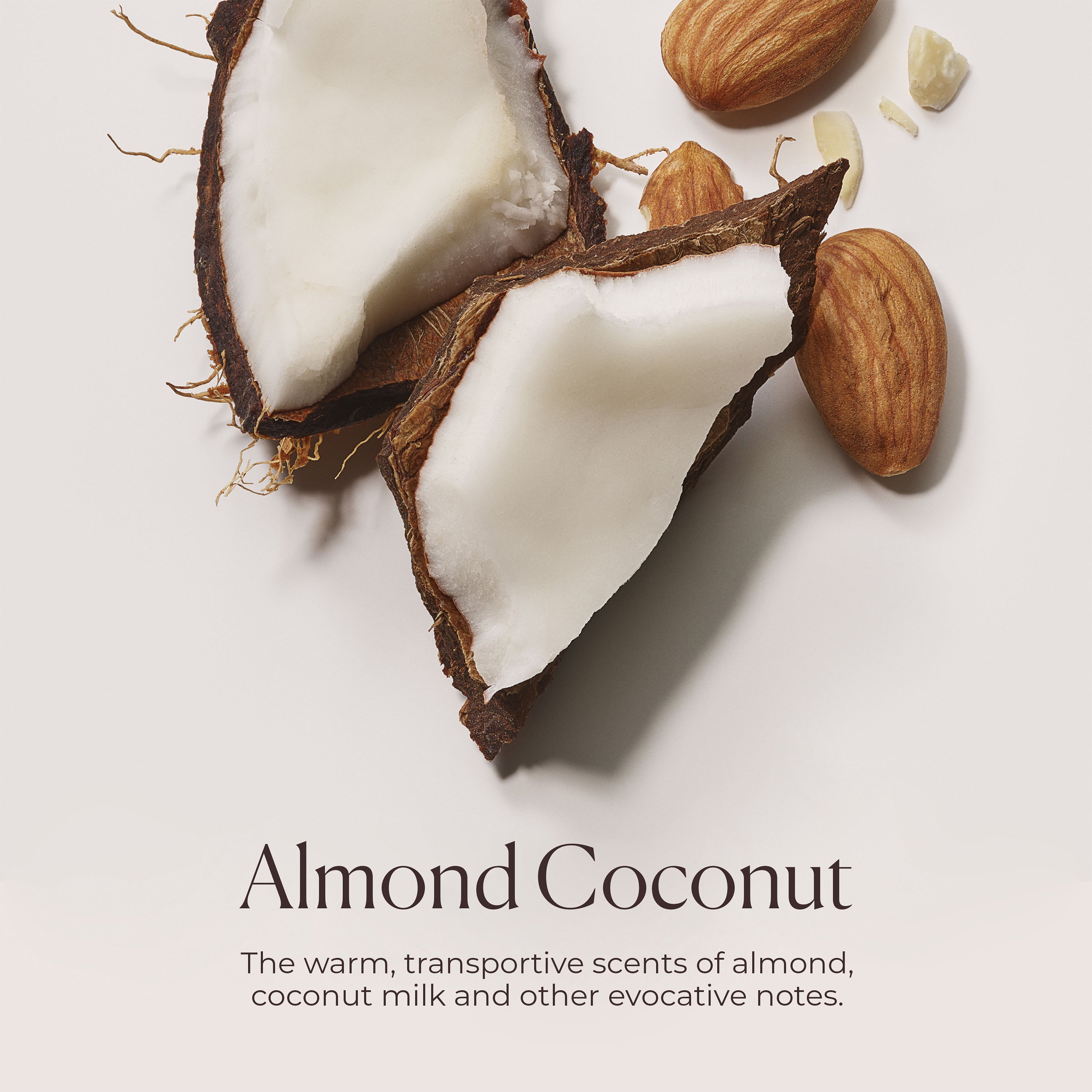 Coconut Header Almond Coconut Honey Bath