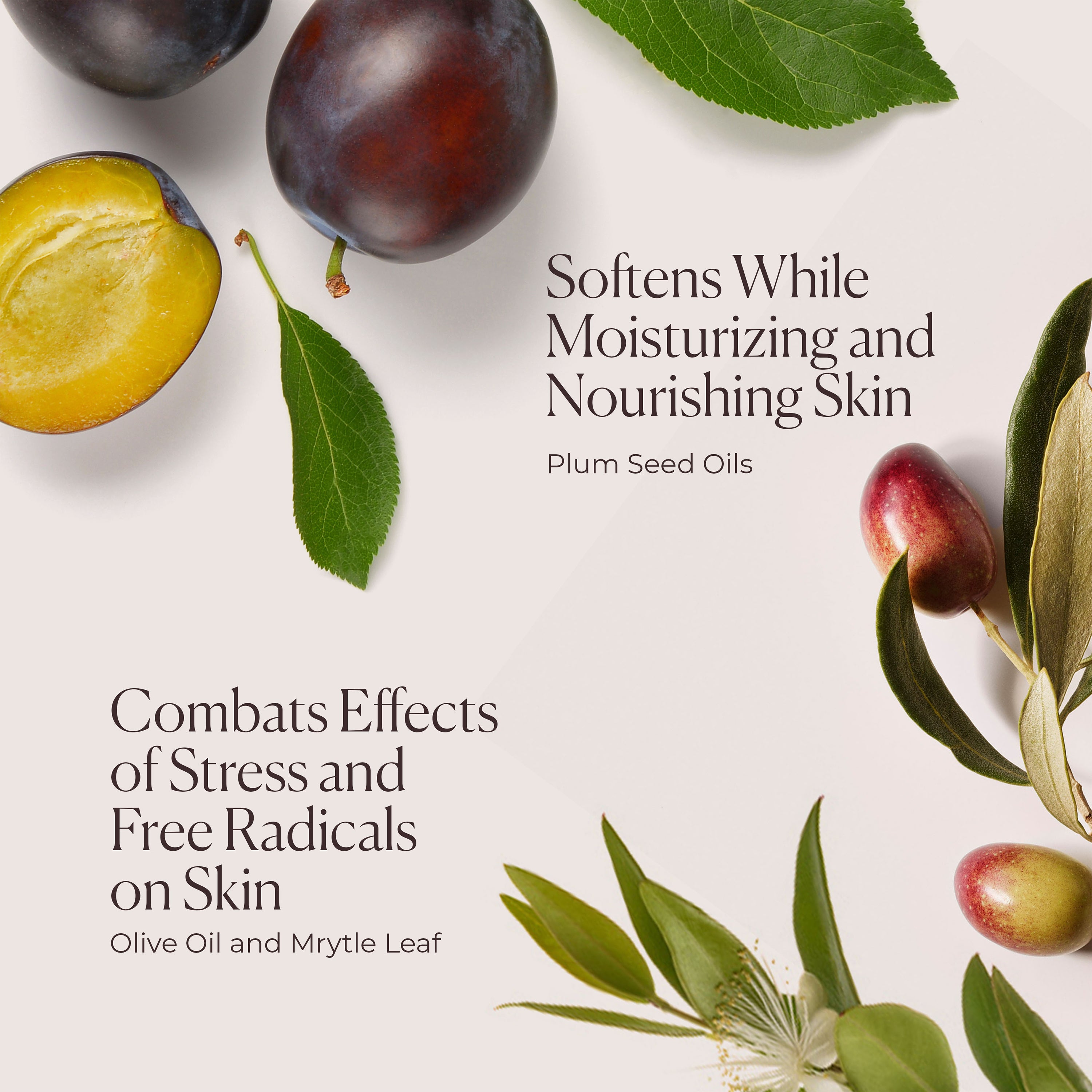 Almond Coconut Hydrating Body Wash view 5