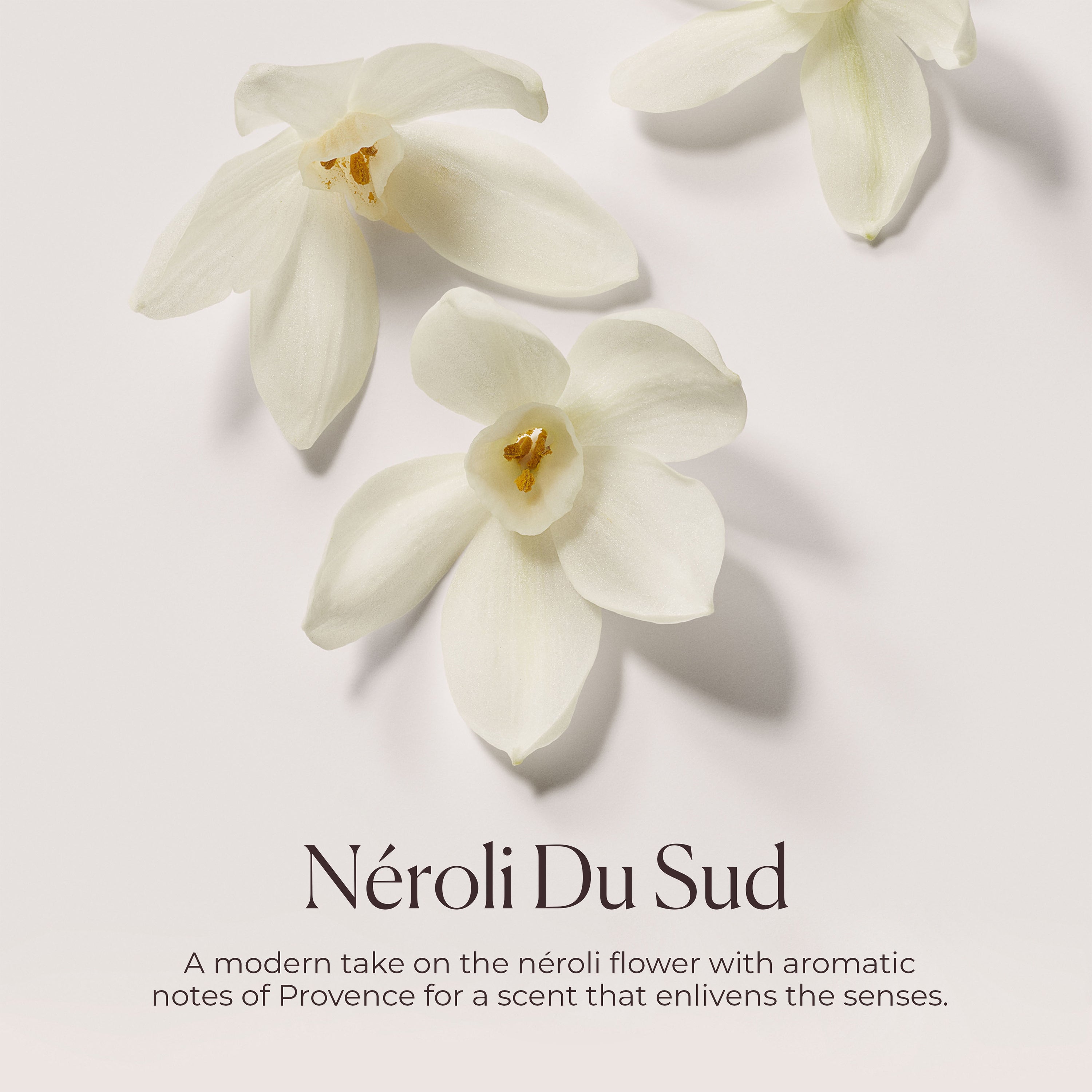 Néroli du Sud Hydrating Body Wash view 6