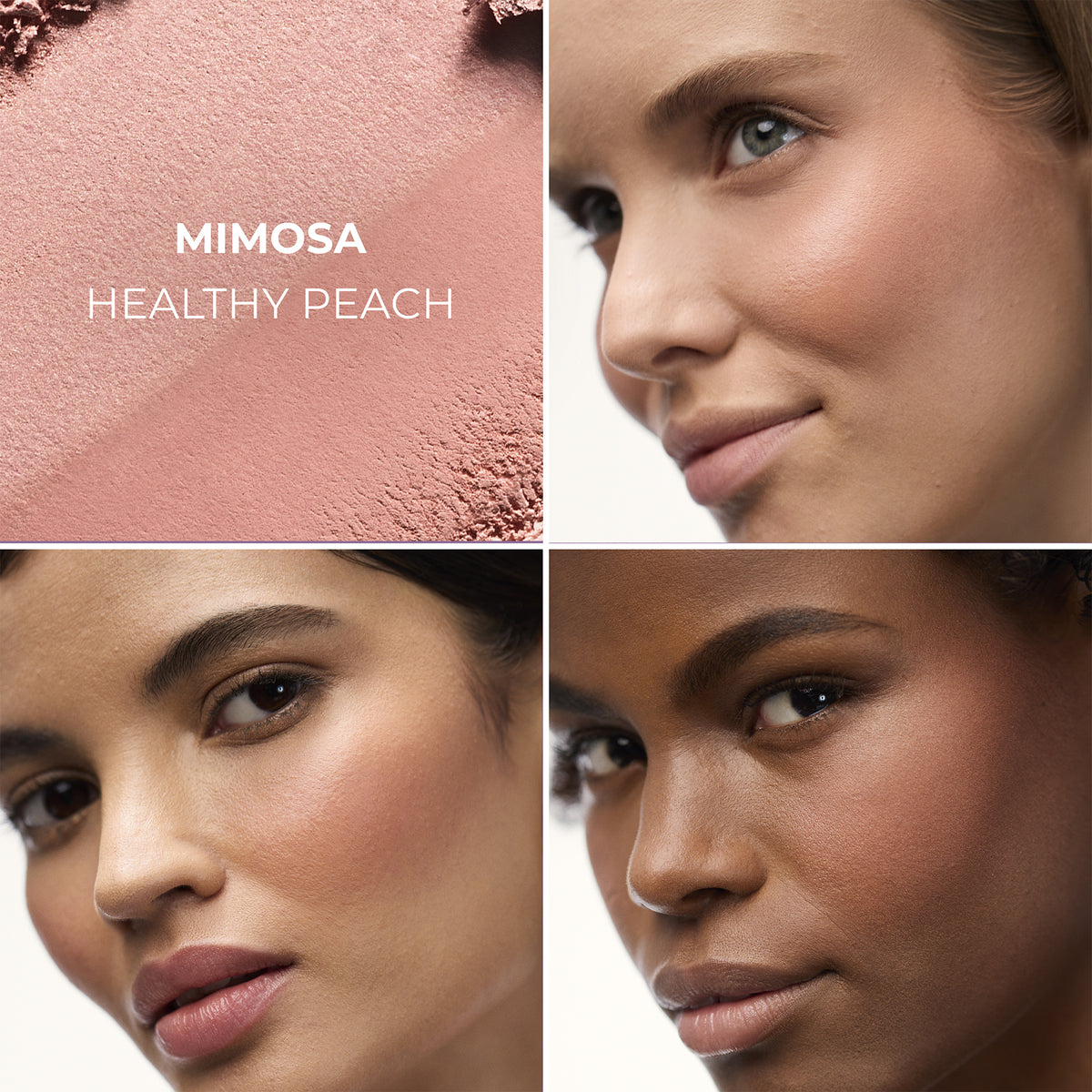 Mimosa