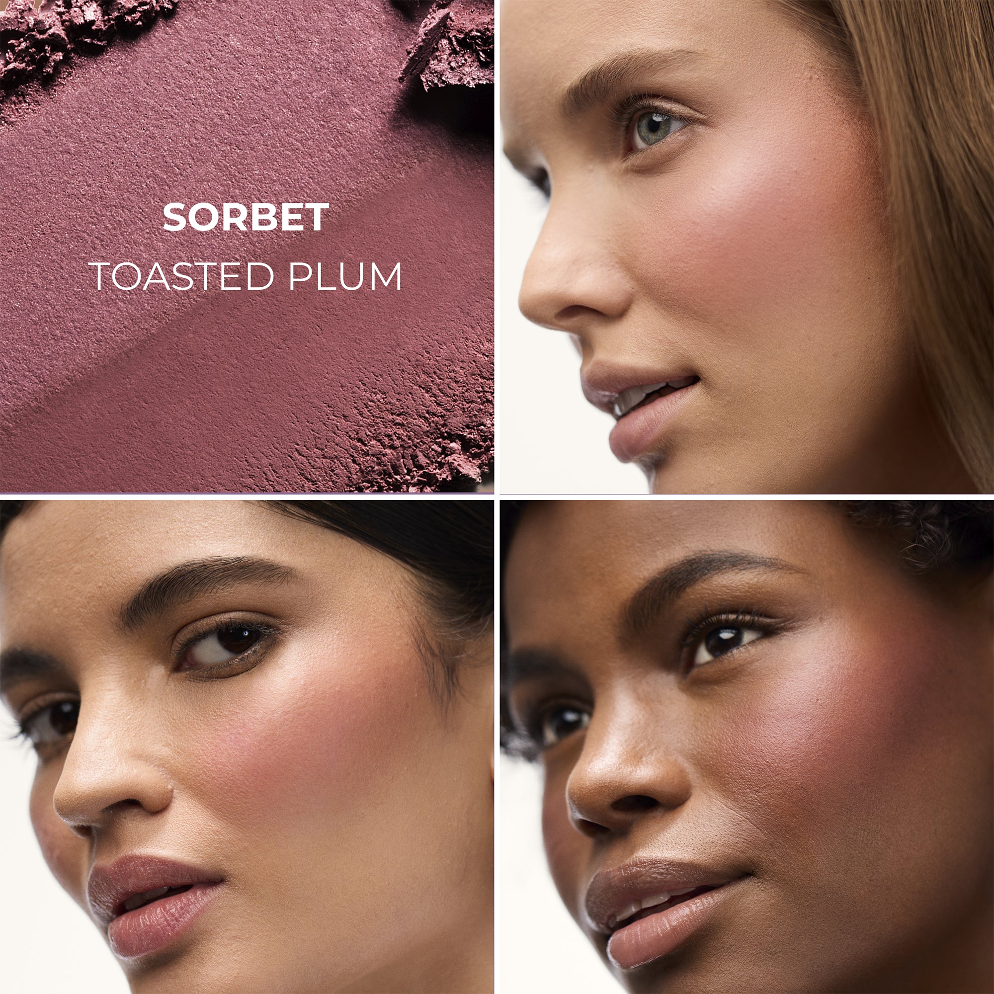 Sorbet