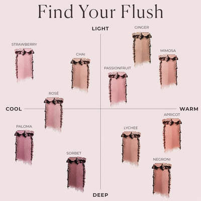 Blush Color Infusion Duo