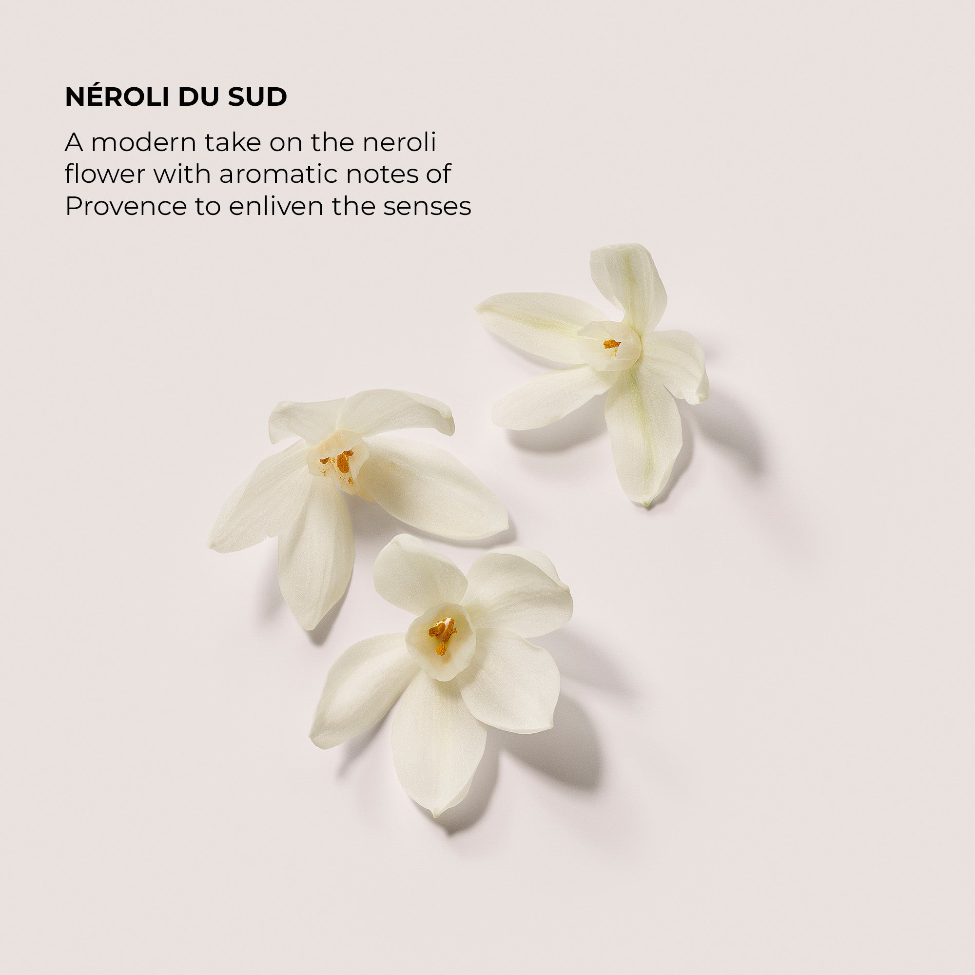 The Daydreamer's Indulgence Néroli Du Sud Collection view 4
