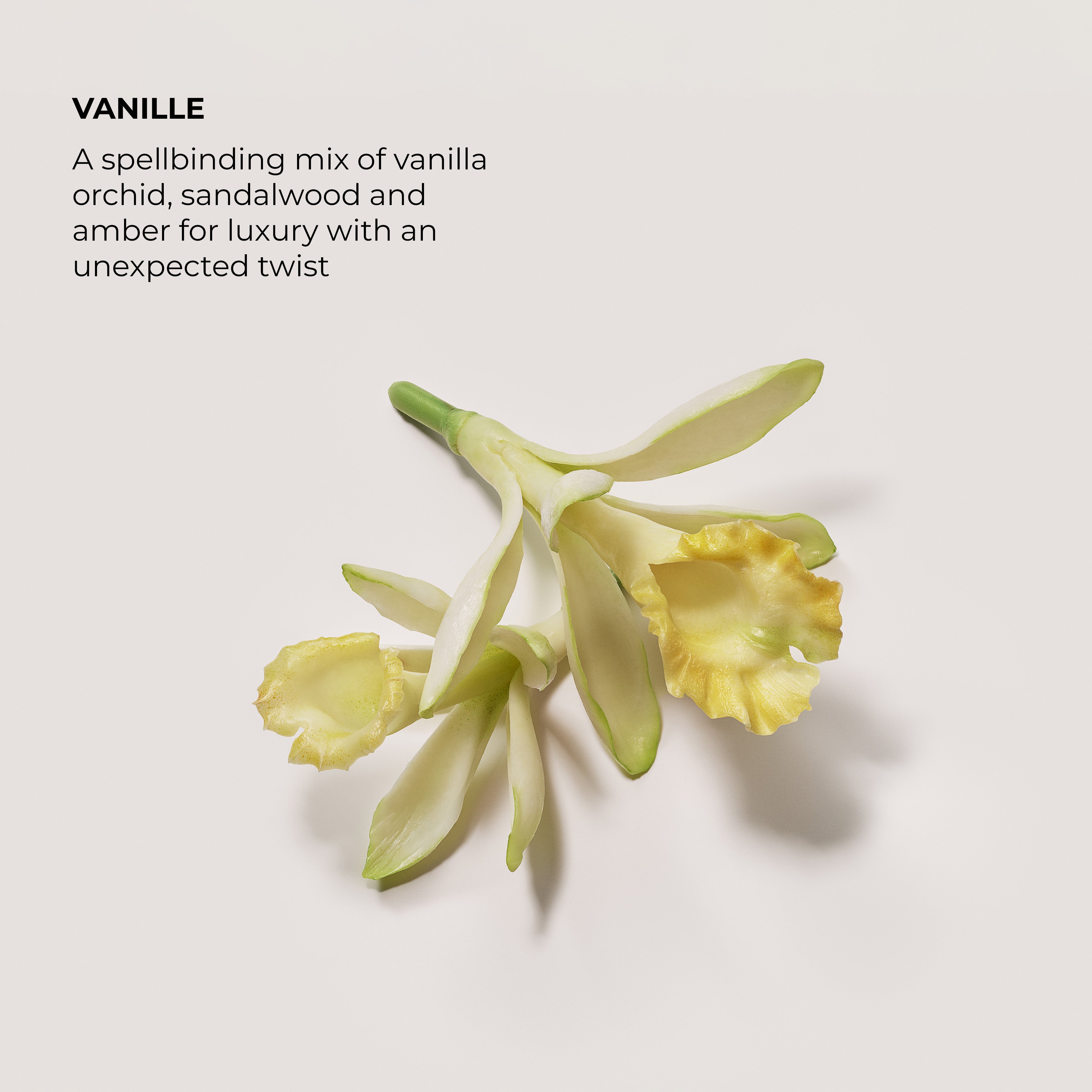 Vanille Eau de Parfum